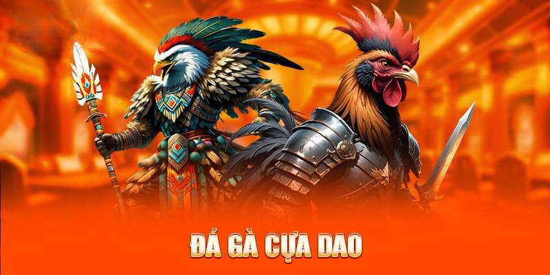 5 bước tham gia cược chọi gà cựa dao cho tân thủ 2024 tại KU BET