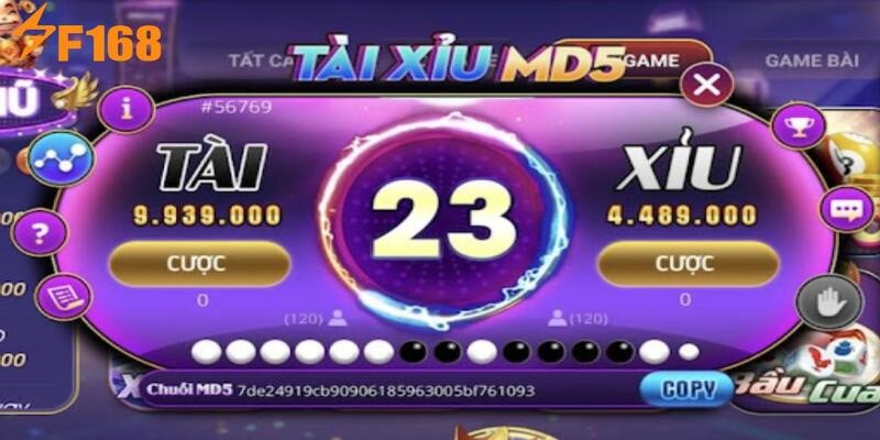 Hướng dẫn cơ bản cho tân binh khi muốn cá cược